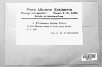 Image Associated With the Occurence